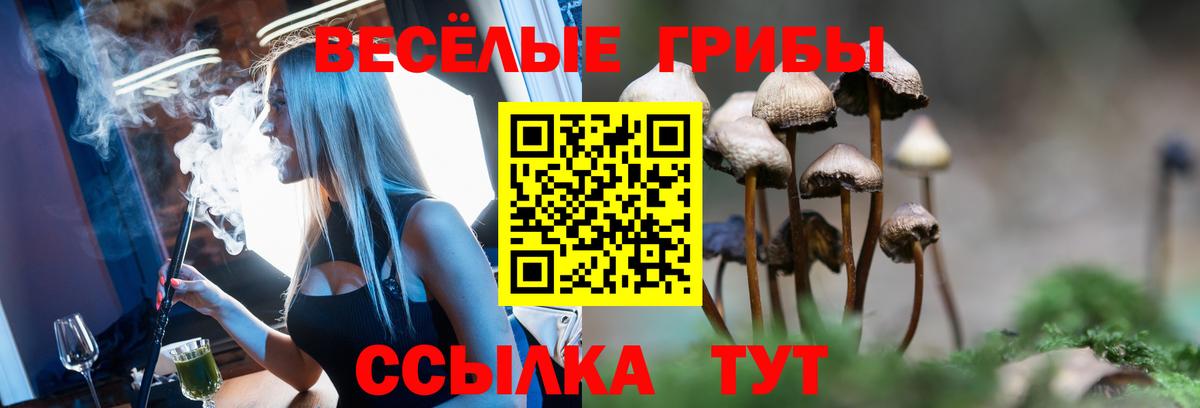 Псилоцибиновые грибы GOLDEN TEACHER  Галлюциногенные грибы Psilocybe  Вход с VPN  Вышний Волочёк 